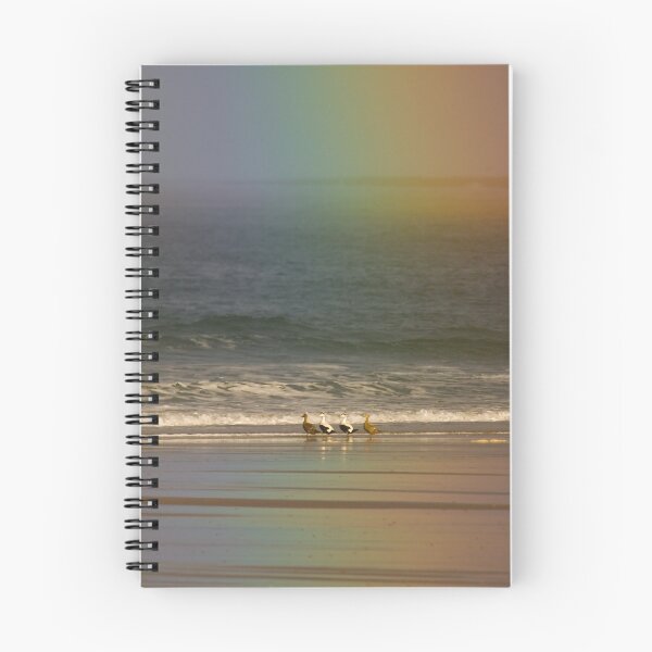 Item preview, Rainbow with Eider designed and sold by Nigel Tinlin.