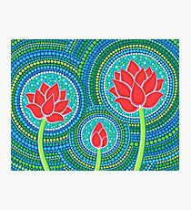 Lotus Family of Three Photographic Print