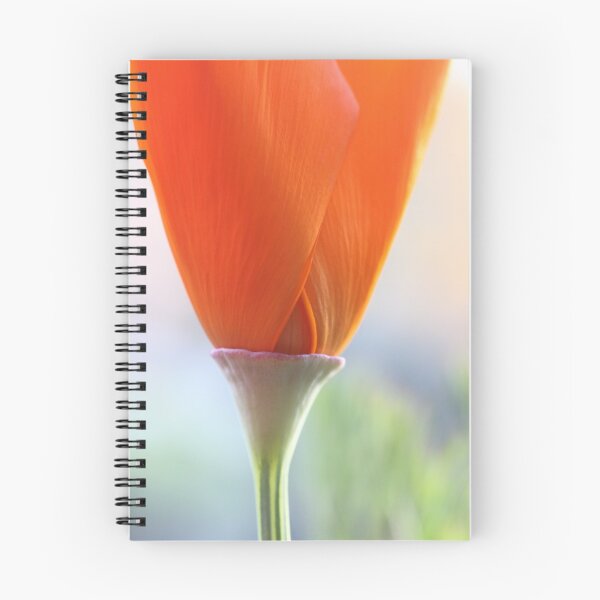 Item preview, Opening designed and sold by Leslie Guinan.