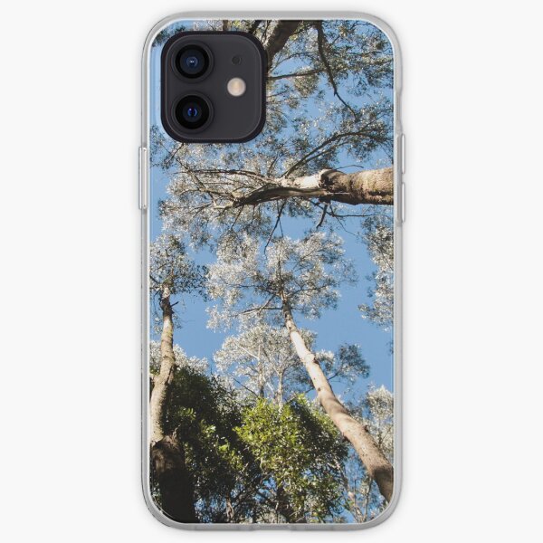 Treetops, Sanitorium Lake iPhone Soft Case