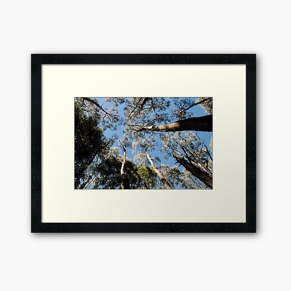 Item preview, Treetops, Sanitorium Lake designed and sold by Susan Henry.