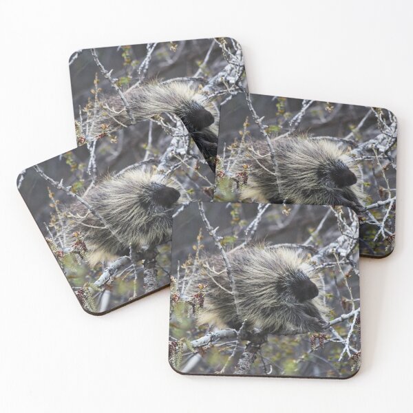 Item preview, Just the Right One designed and sold by Alyce Taylor.
