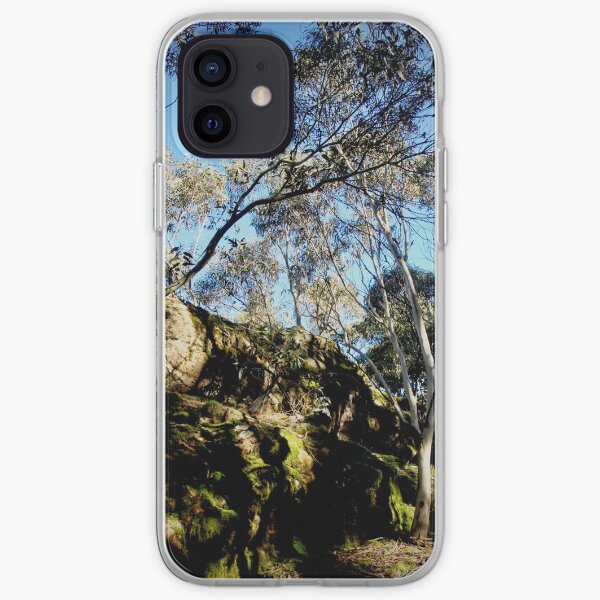 Morning Light on Camel's Hump iPhone Soft Case