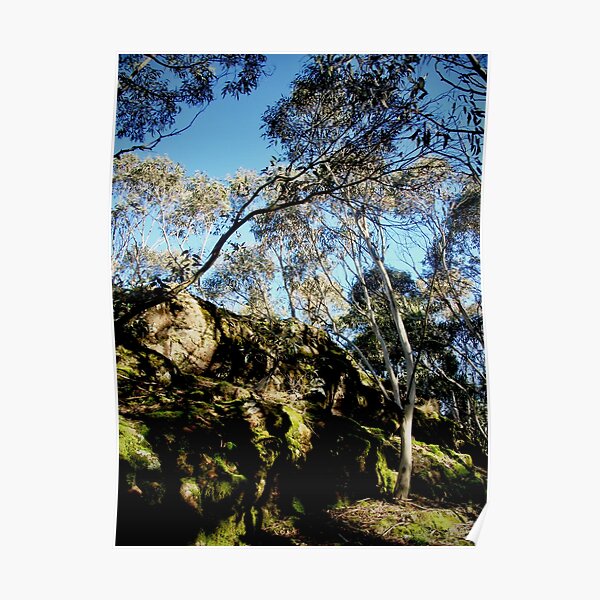 Morning Light on Camel's Hump Poster