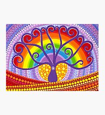Rainbow Boab Tree of Life Photographic Print