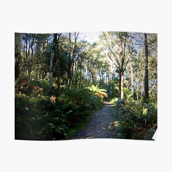 Camel's Hump, Mt Macedon Poster