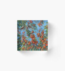 Sparrow Among In a Dog Rose Bush Acrylic Block