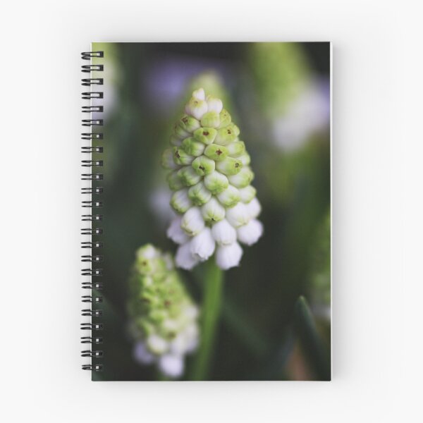Item preview, Muscari white designed and sold by Roswitha Lorz.