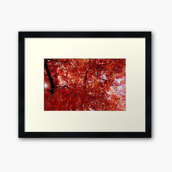 Item preview, Autumn Redness, Macedon designed and sold by Susan Henry.