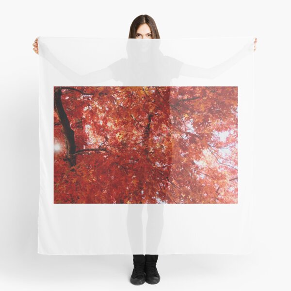 Autumn Redness, Macedon Scarf