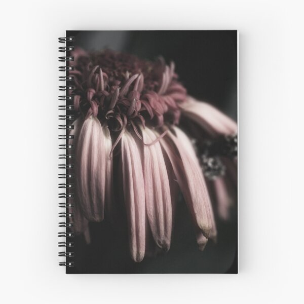 Item preview, ~ephemeral~ designed and sold by Cordelia.