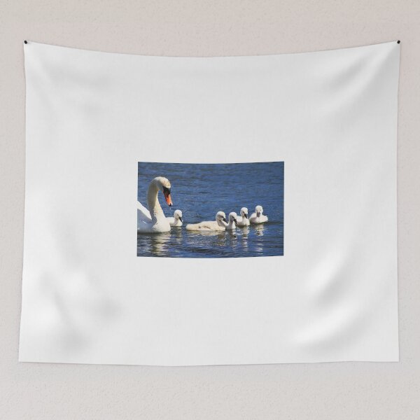 Item preview, Swan and Cygnets designed and sold by Alyce Taylor.