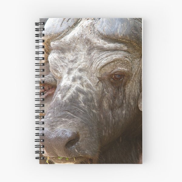 Item preview, African Buffalo designed and sold by Michael Moss Photography.