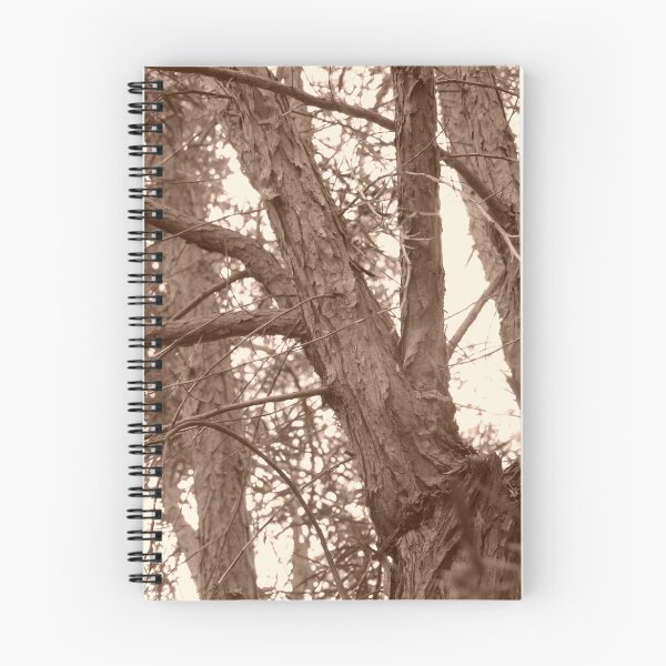 Item preview, Branches designed and sold by Joan Wild.