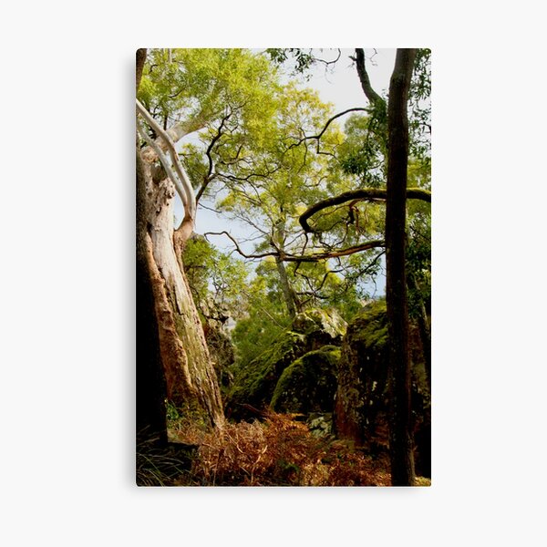 Item preview, Hanging Rock, into the forest designed and sold by Susan Henry.