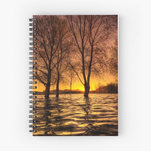 Item preview, Warmth and Trees designed and sold by Bob Larson.