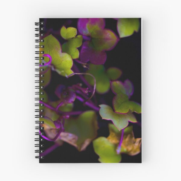 Artikelvorschau, Beautiful colors entworfen und verkauft von Jocelyn Parry-Jones.