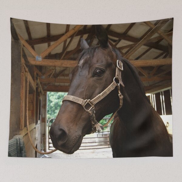 Item preview, I'm handsome and I know it designed and sold by KensLensDesigns.