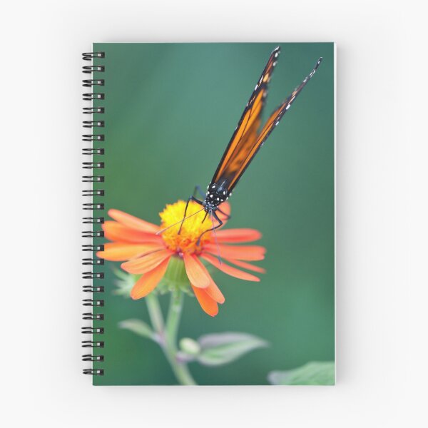 Item preview, Butterfly 12 designed and sold by Jacinthe Brault.