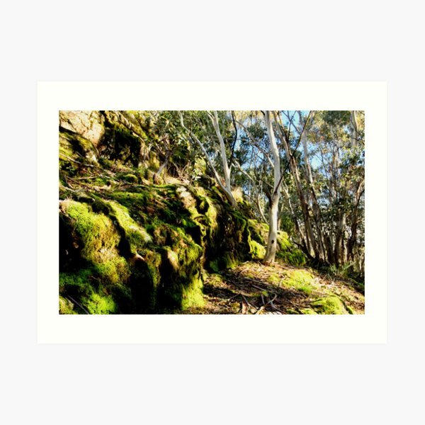 Camel's Hump, Mt Macedon Art Print