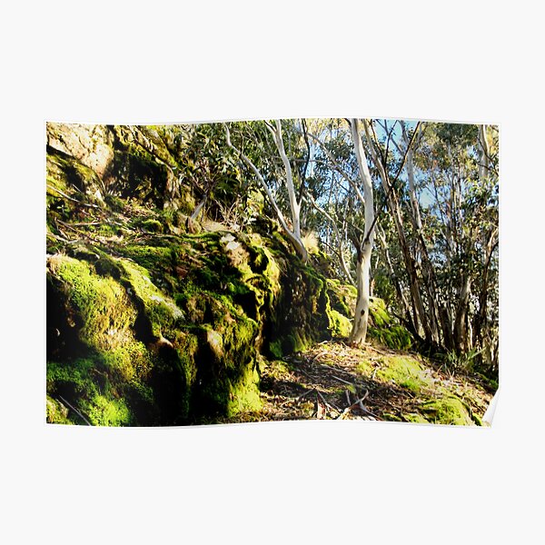 Camel's Hump, Mt Macedon Poster