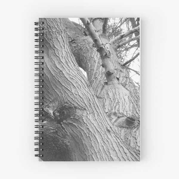 Item preview, Tree Detail designed and sold by Joan Wild.