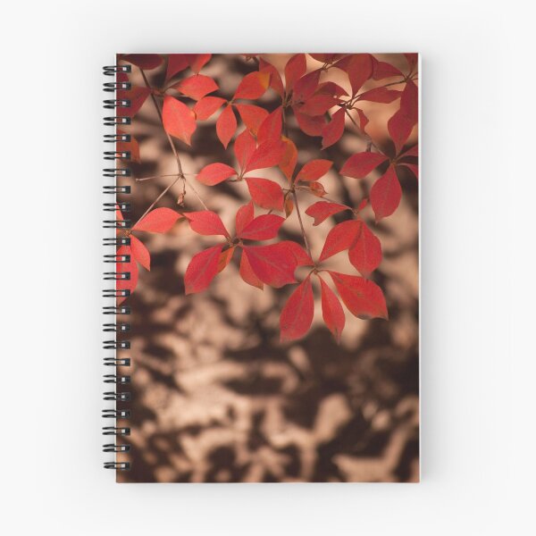 Aperçu de l'œuvre Le dernier de l'automne créée et vendue par fab2can.
