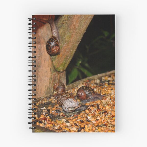 Item preview, At a Snails Pace !! designed and sold by AnnDixon.