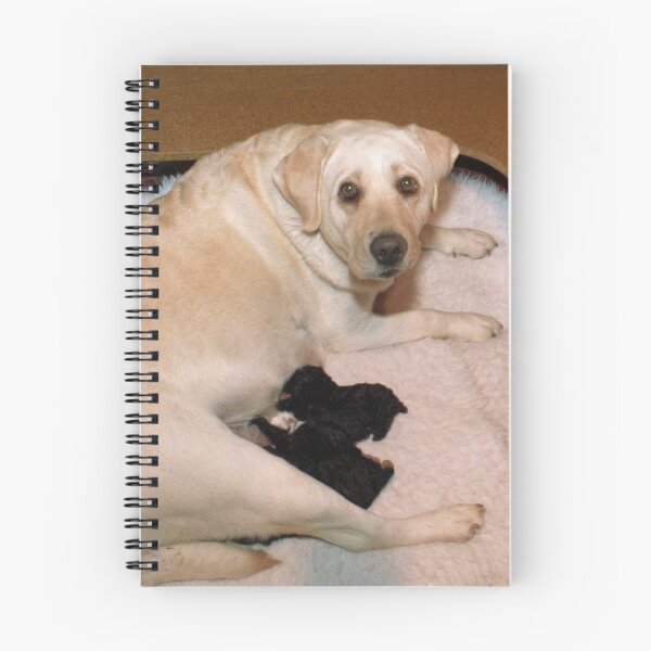 Item preview, Labrador Foster Mother with Poodle Pups designed and sold by Bev Pascoe.