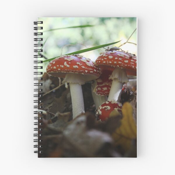 Artikelvorschau, Family of mushrooms entworfen und verkauft von Silvia Stewart.