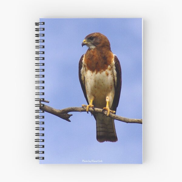 Item preview, Swainson Hawk designed and sold by Klaus Girk.
