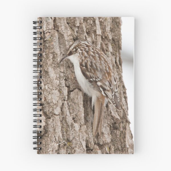 Item preview, Brown Creeper designed and sold by DigitallyStill.