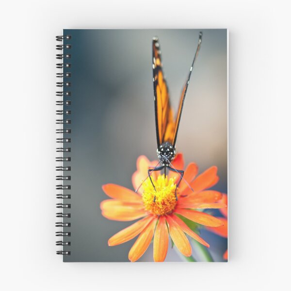 Item preview, Butterfly 15 designed and sold by Jacinthe Brault.