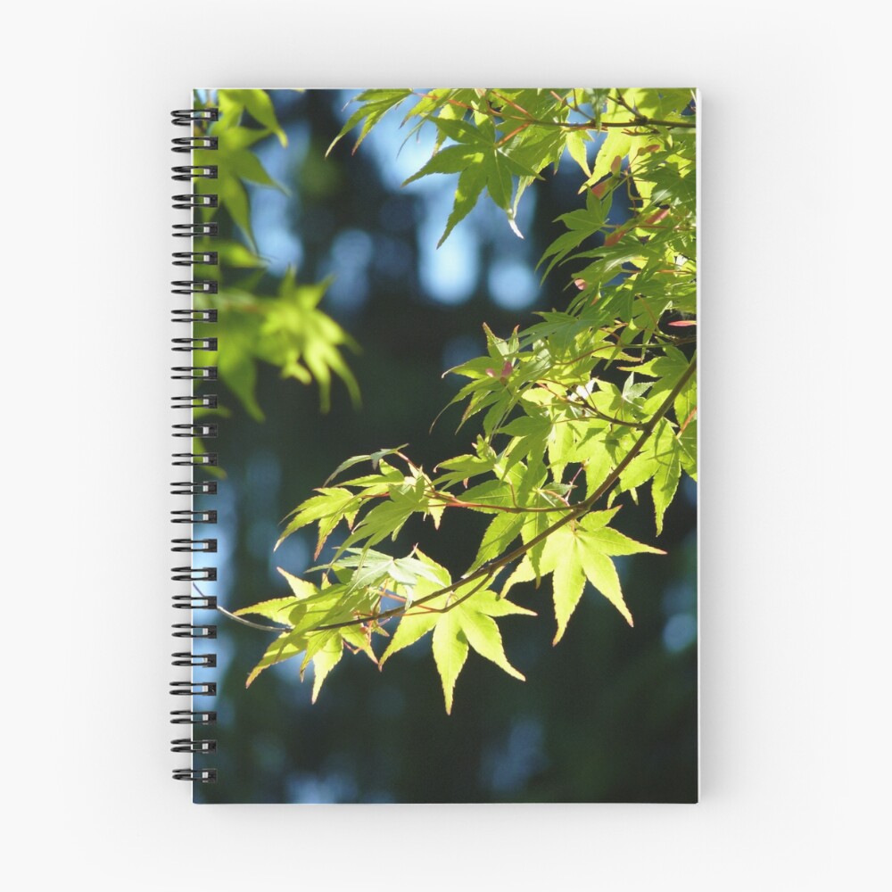 Item preview, Spiral Notebook designed and sold by MischaC.