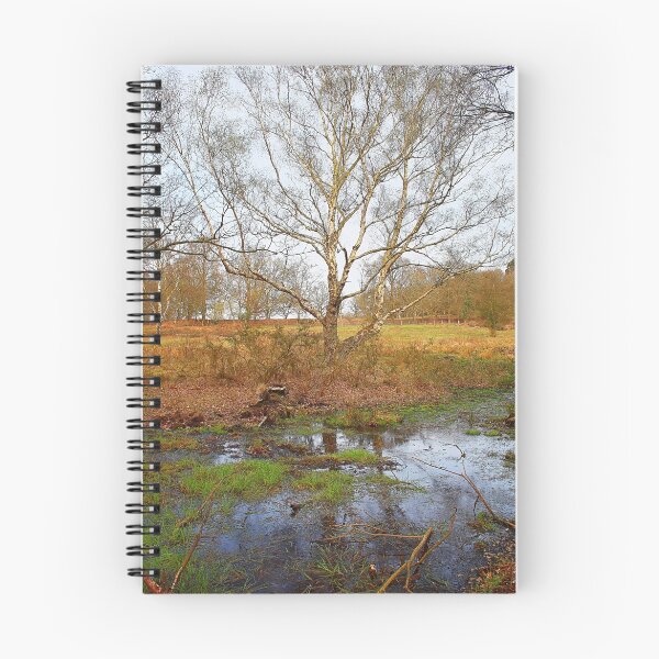 Item preview, Reflections In A Bog designed and sold by Dave Godden.