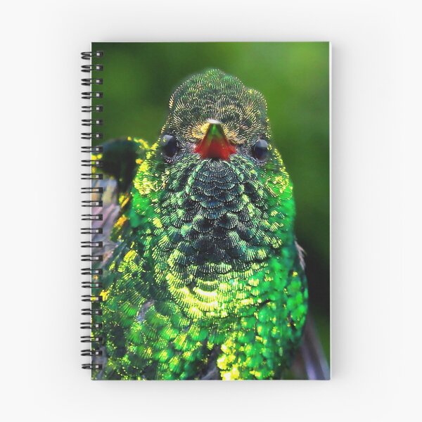 Item preview, Emerald Hummer designed and sold by Robbie Labanowski.