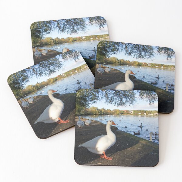Item preview, Geese at Linlithgow Loch designed and sold by tomg.