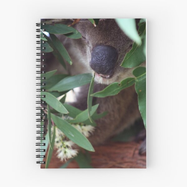 Item preview, Munch Koala Munch designed and sold by HeidiForeman.