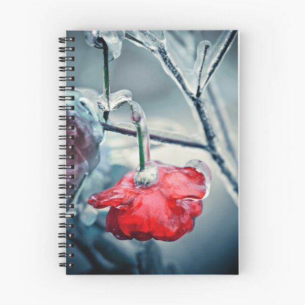 Item preview, Broken iced rose designed and sold by DanielVijoi.