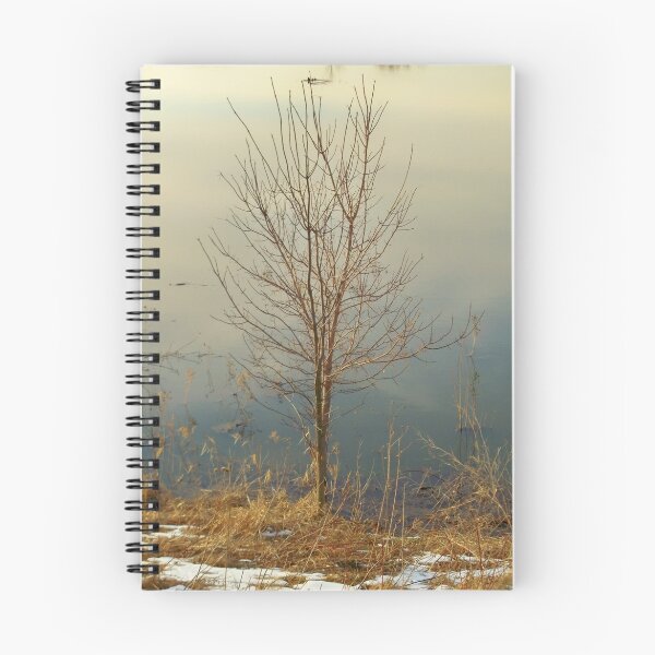 Item preview, Solo TREE At Minnesota River Spring Flood designed and sold by Diane Trummer Sullivan.