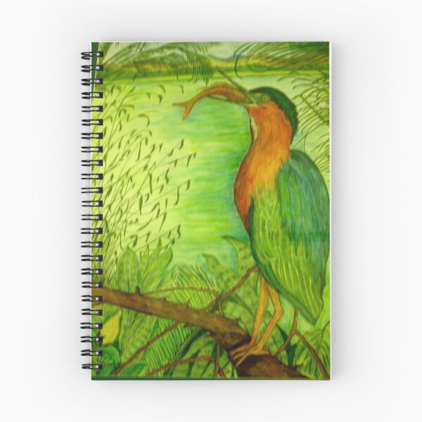 Item preview, Green Heron, Laguna del Tule, Mexico designed and sold by Lynda Earley.