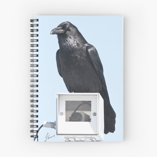 Item preview, 375x360 designed and sold by DigitallyStill.