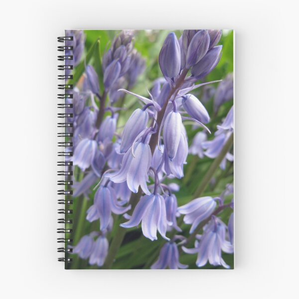 Item preview, English Bluebells  designed and sold by CavyGirl.