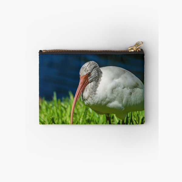 Item preview, American white ibis 2 + 2 designed and sold by KensLensDesigns.