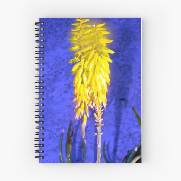 Artikelvorschau, Glowing aloe flowers entworfen und verkauft von B. Randi Bailey.