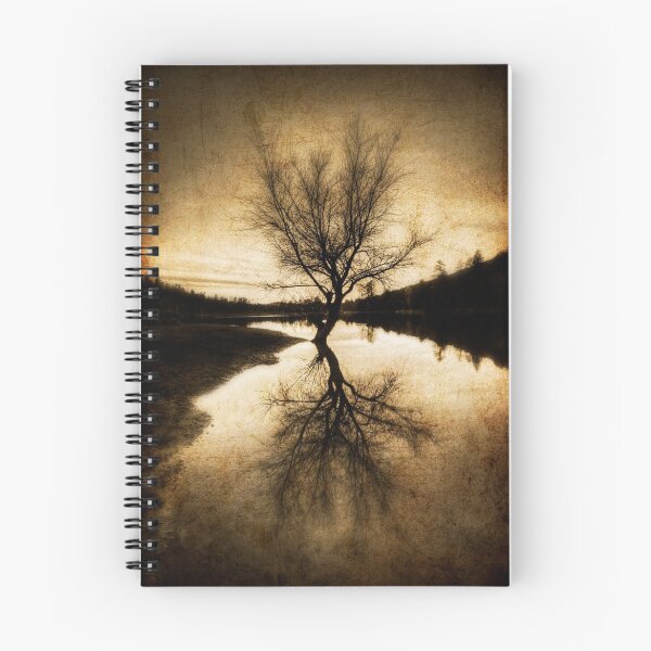 Item preview, Alone In The Middle designed and sold by Bob Larson.