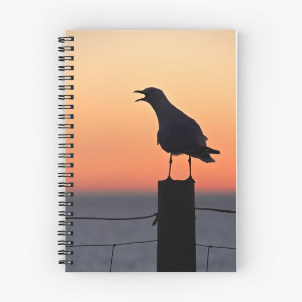 Item preview, Vocal Seagull designed and sold by pennyswork.