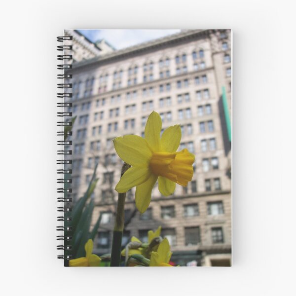 Item preview, Narcissus in Manhattan designed and sold by Nella Khanis.