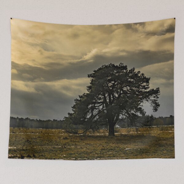 Item preview, The Lonely Pine On The Winter Heath designed and sold by Arc1.