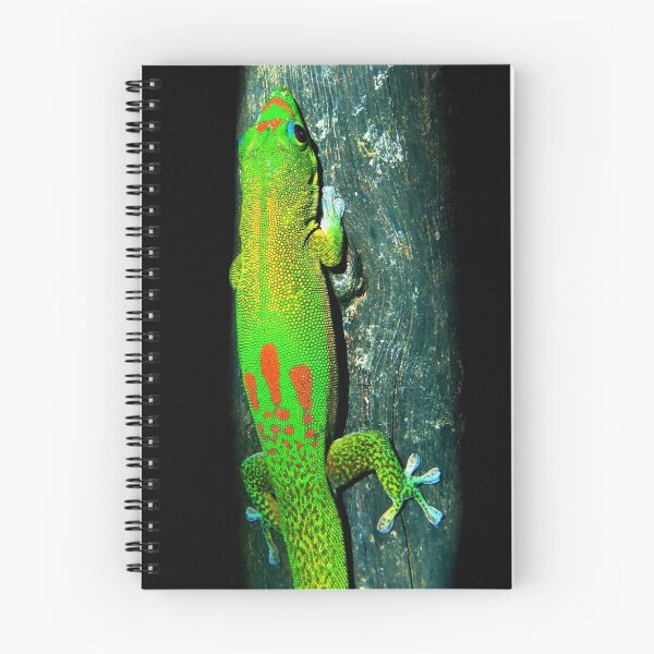 Item preview, Gold-dust Day Gecko designed and sold by Robbie Labanowski.